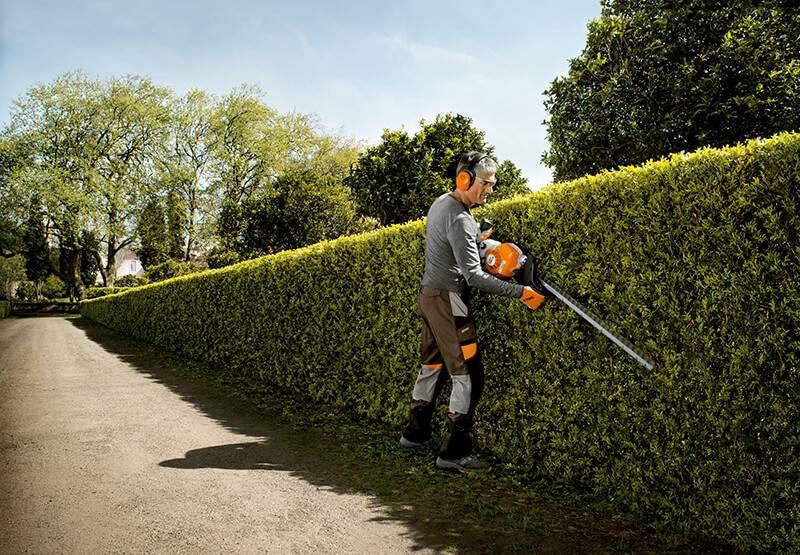 Hedge Trimming