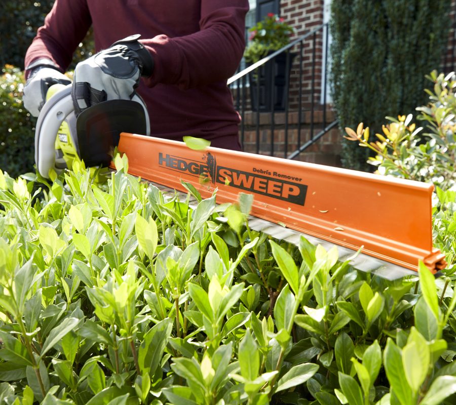 Hedge Trimming