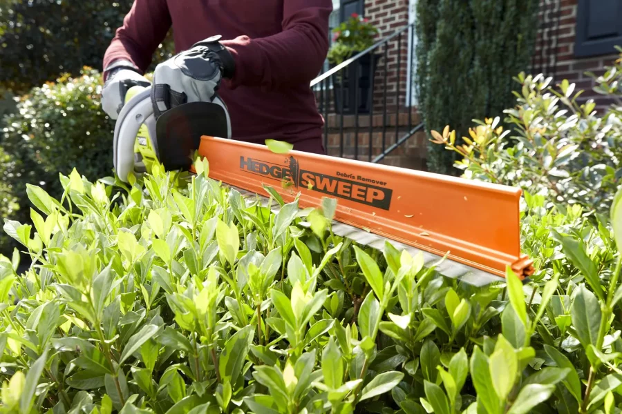 Hedge Trimming