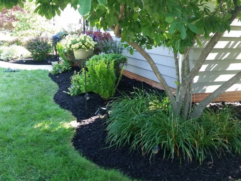 mulch-bed-installation-website-photo